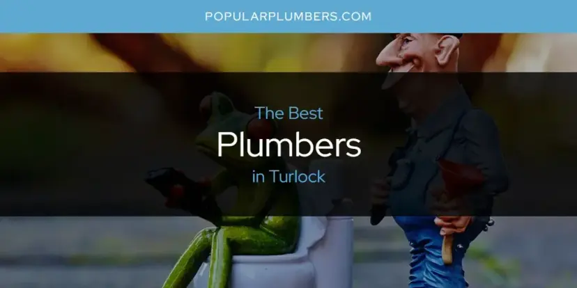 Turlock's Best Plumbers [Updated 2024]