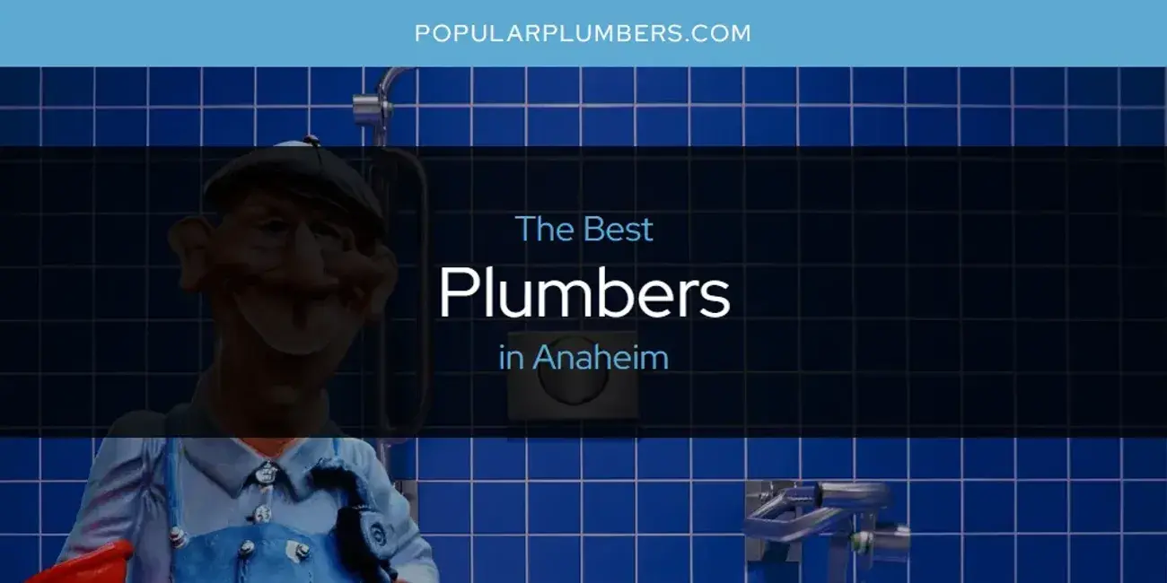 The Absolute Best Plumbers in Anaheim  [Updated 2024]