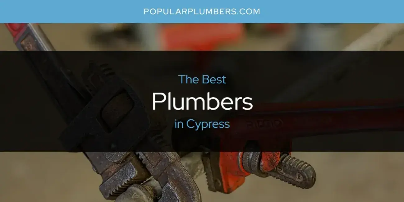 The Absolute Best Plumbers in Cypress  [Updated 2024]