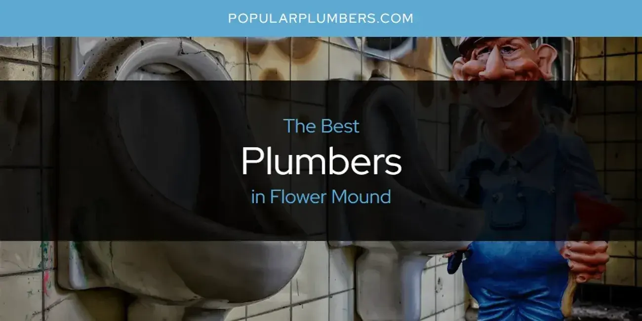 The Absolute Best Plumbers in Flower Mound  [Updated 2024]