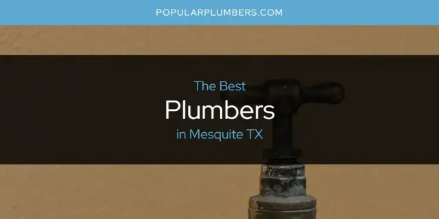 Mesquite TX's Best Plumbers [Updated 2024]