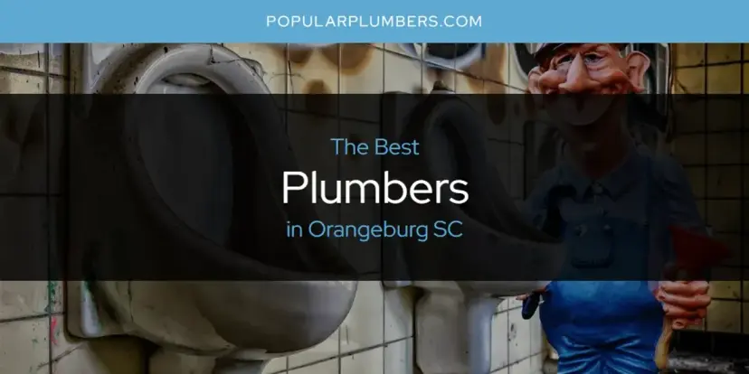 Orangeburg SC's Best Plumbers [Updated 2024]