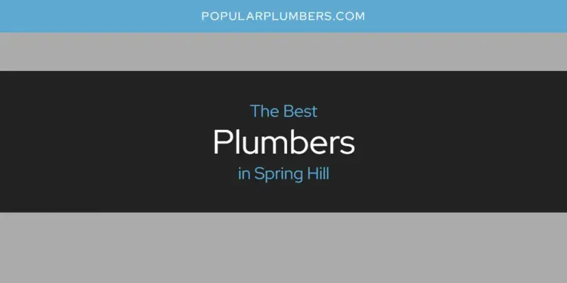 Spring Hill's Best Plumbers [Updated 2024]