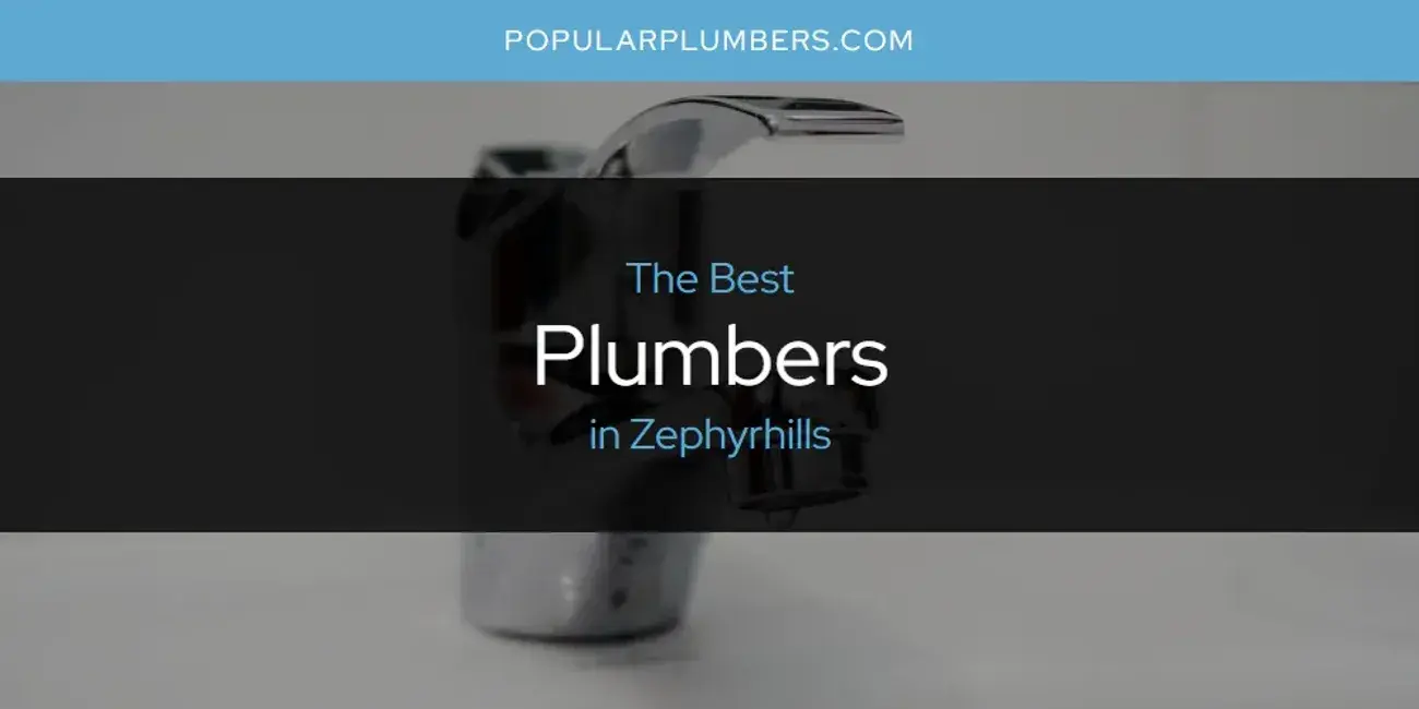 Zephyrhills' Best Plumbers [Updated 2024]